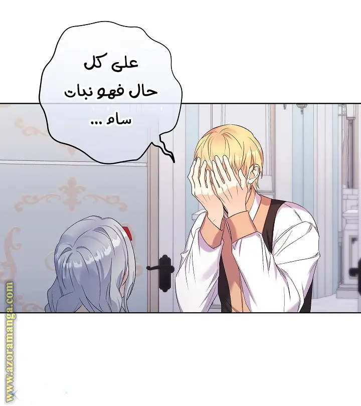 الصفحة 24