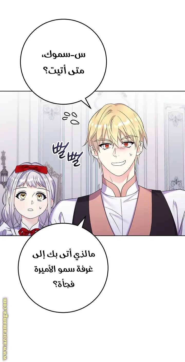 الصفحة 28