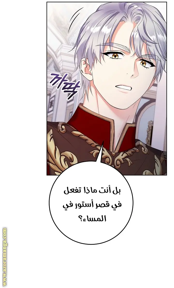 الصفحة 29