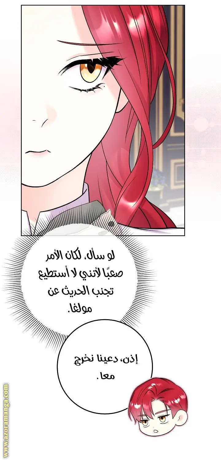 الصفحة 42