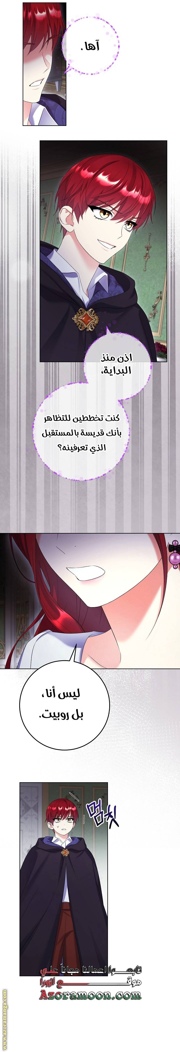 الصفحة 13