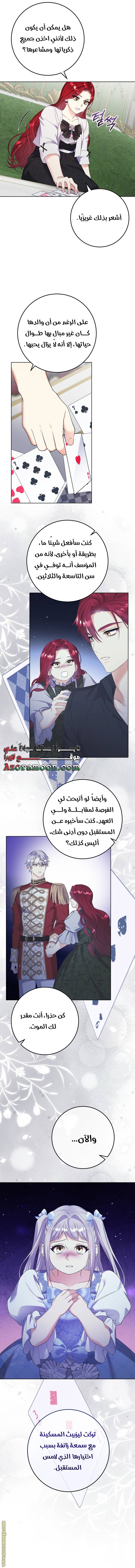 الصفحة 17