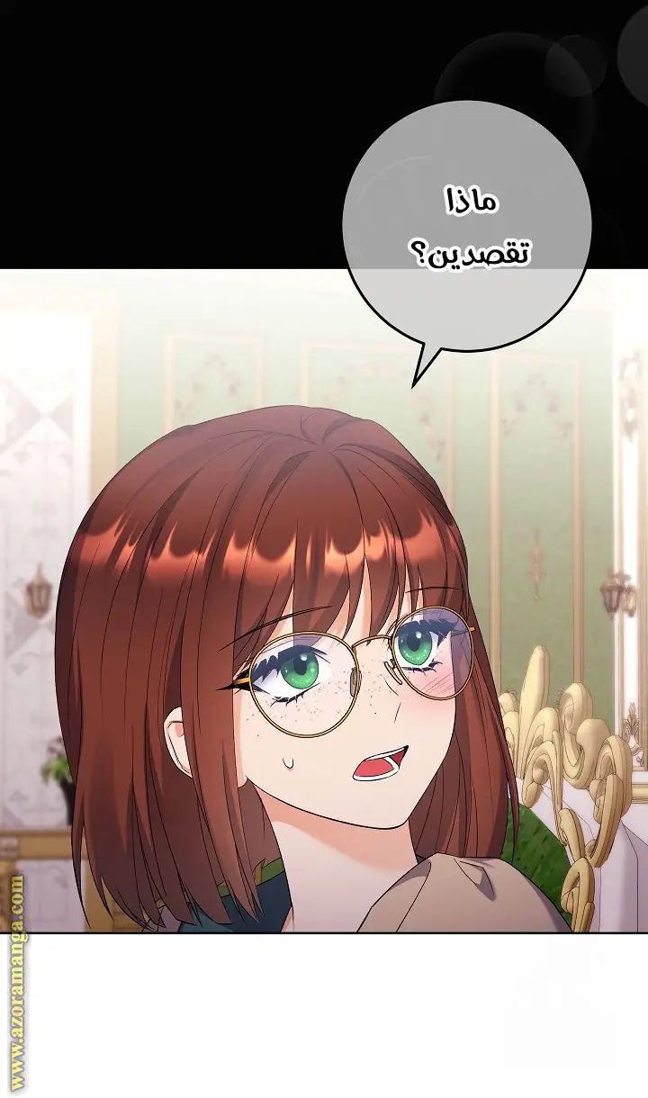 الصفحة 27