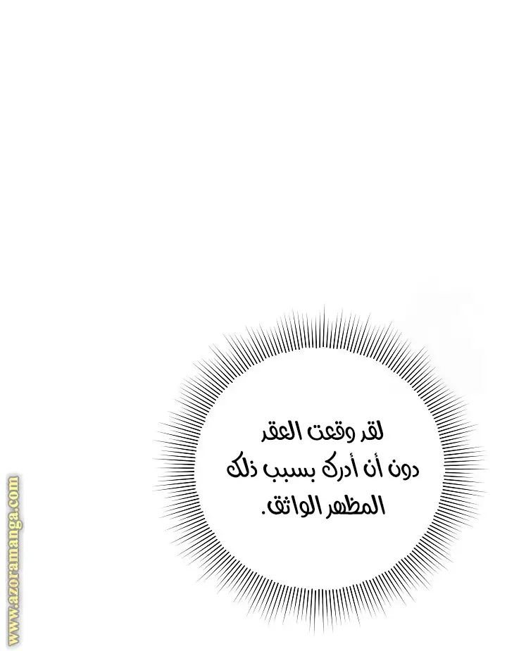 الصفحة 29