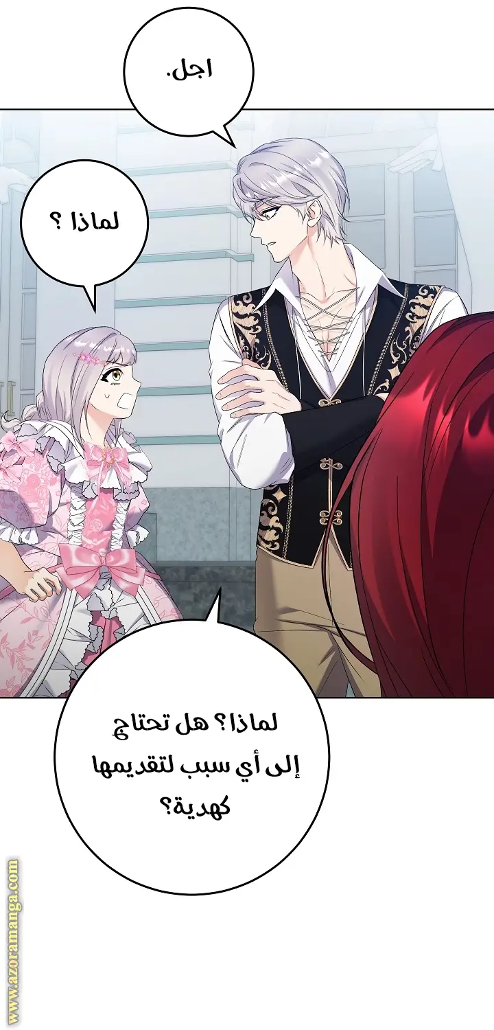 الصفحة 25