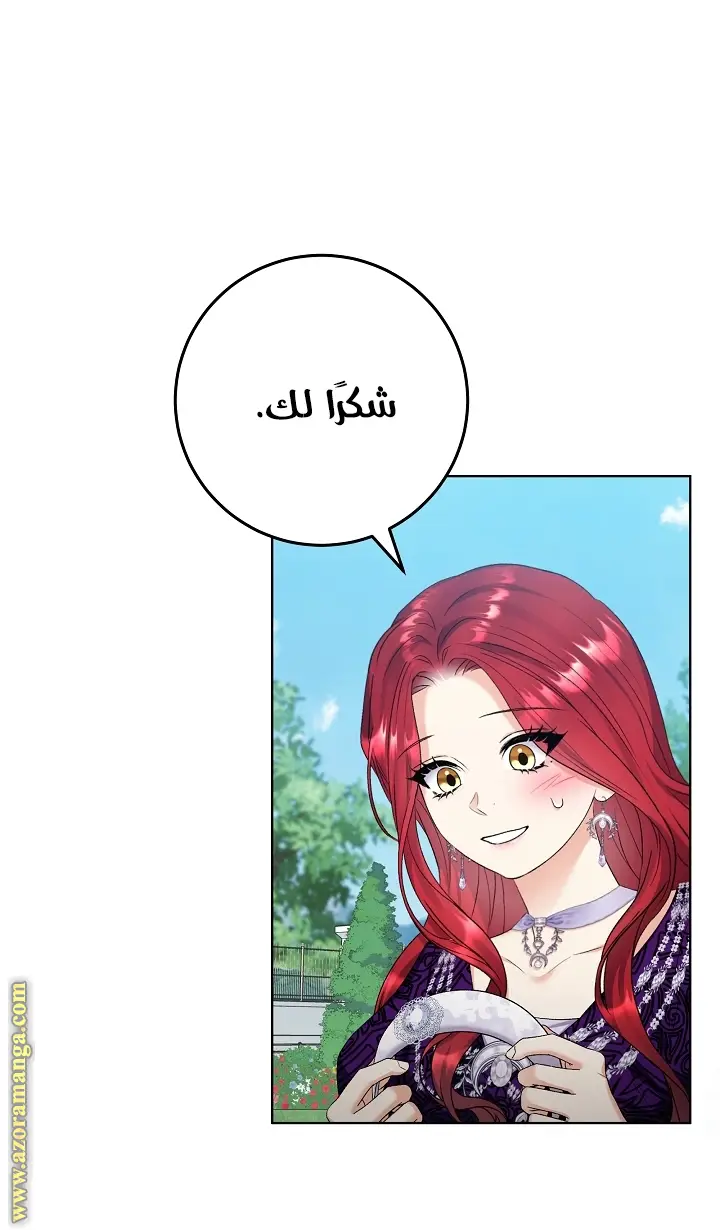 الصفحة 26