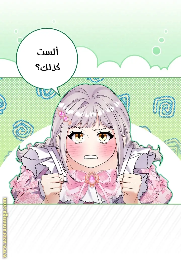 الصفحة 29