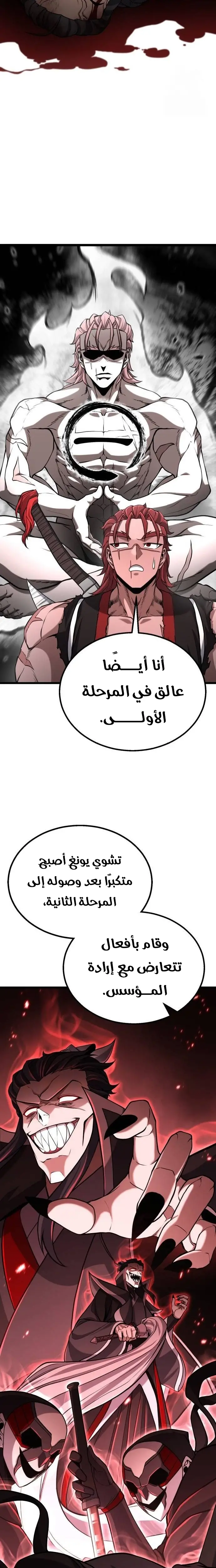 الصفحة 17