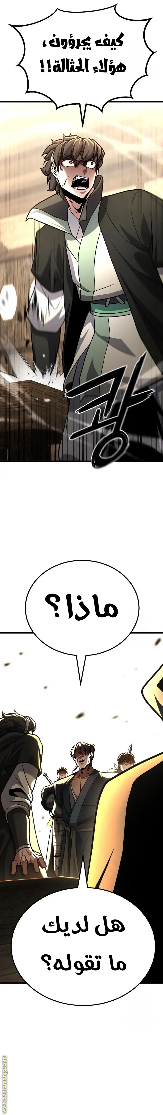 الصفحة 17