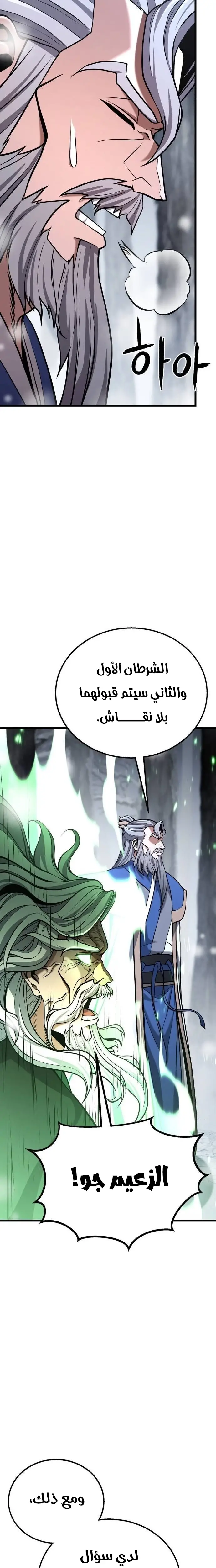 الصفحة 17
