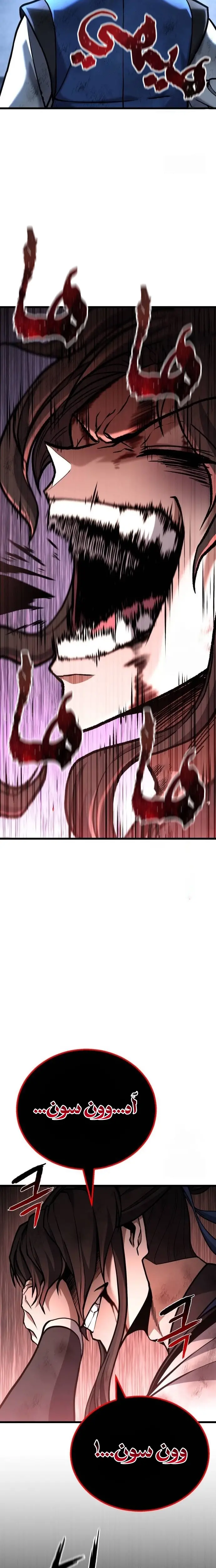الصفحة 17