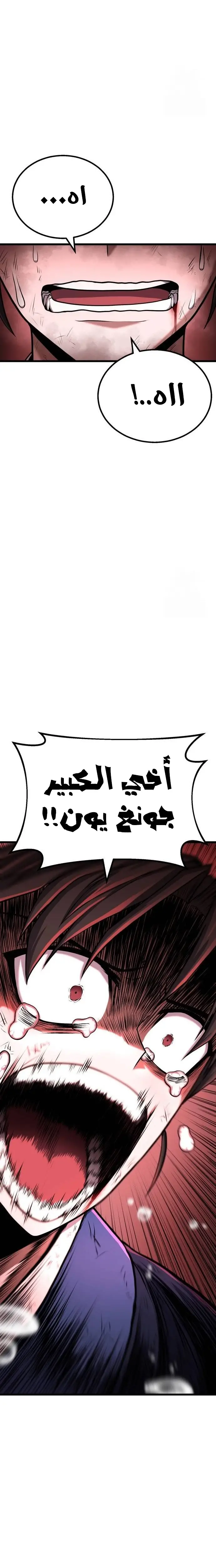 الصفحة 33