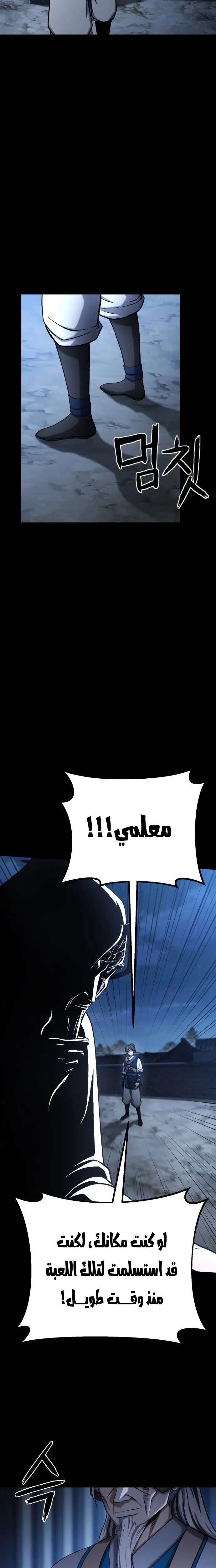 الصفحة 29