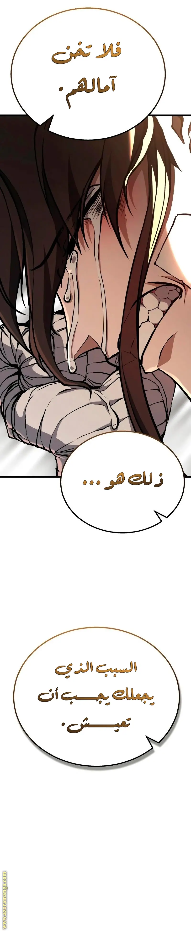 الصفحة 30