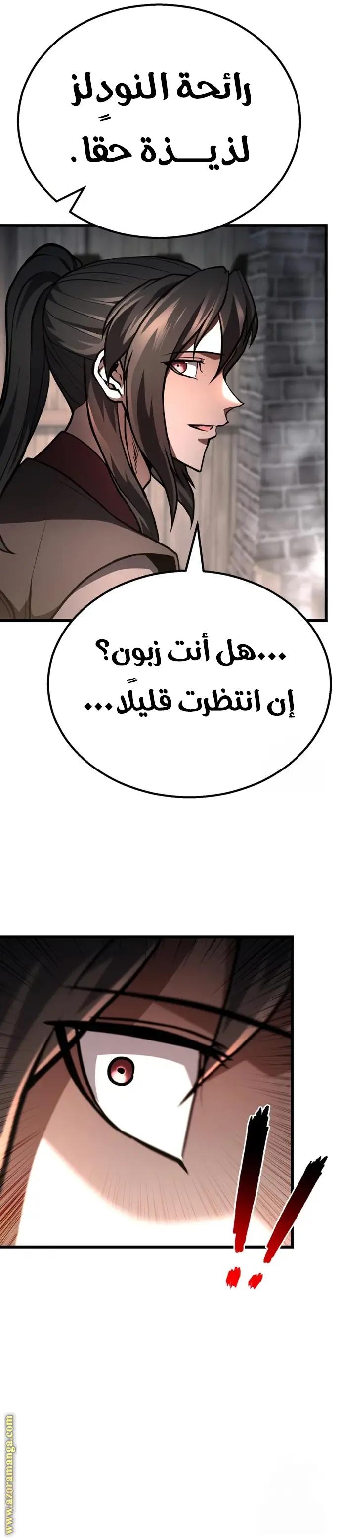 الصفحة 13