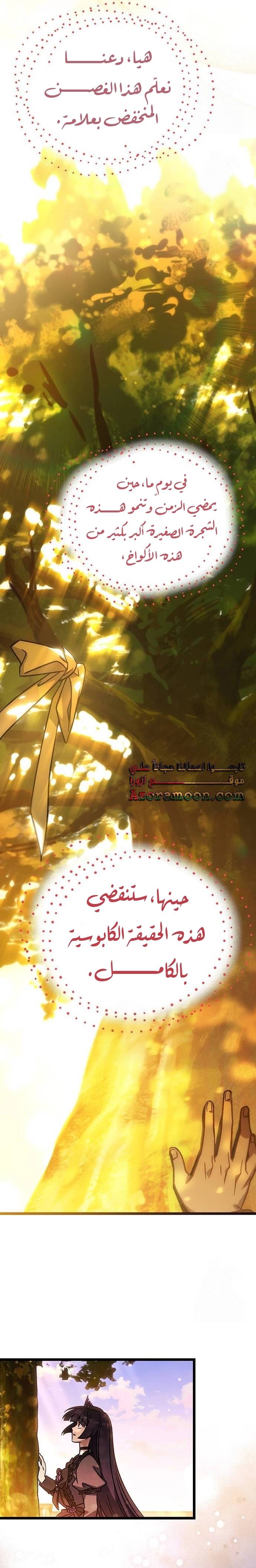 الصفحة 21
