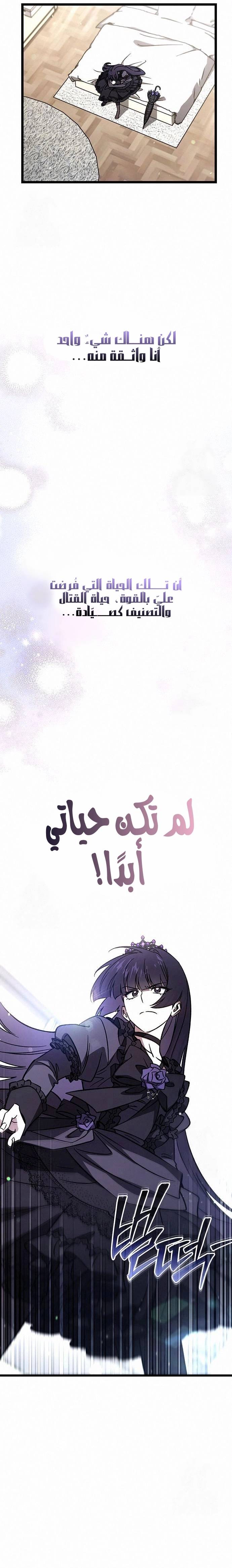 الصفحة 26
