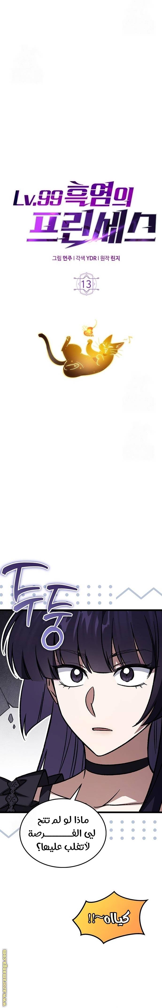 الصفحة 12