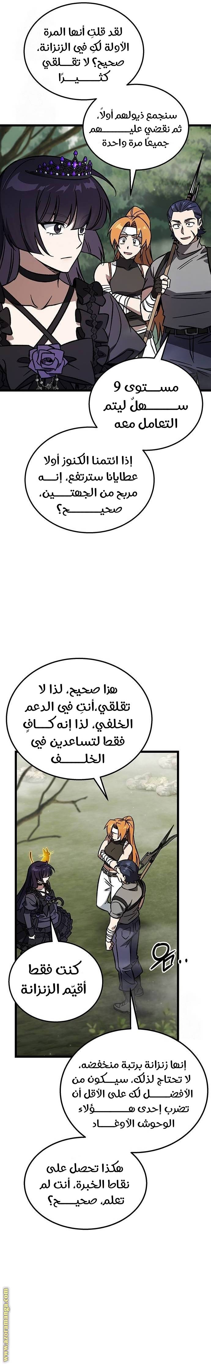الصفحة 17