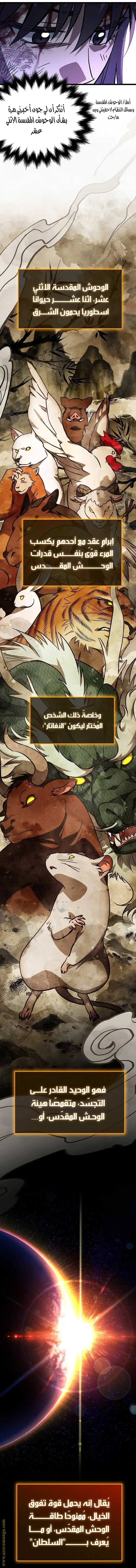 الصفحة 17