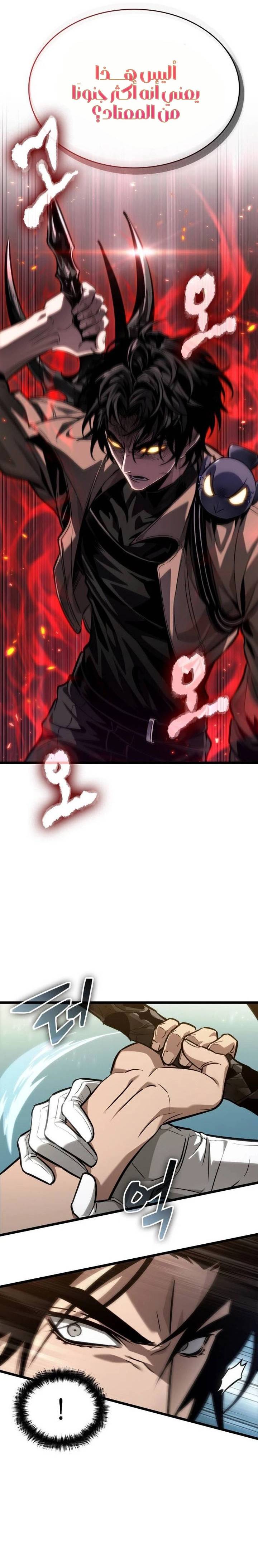 الصفحة 13