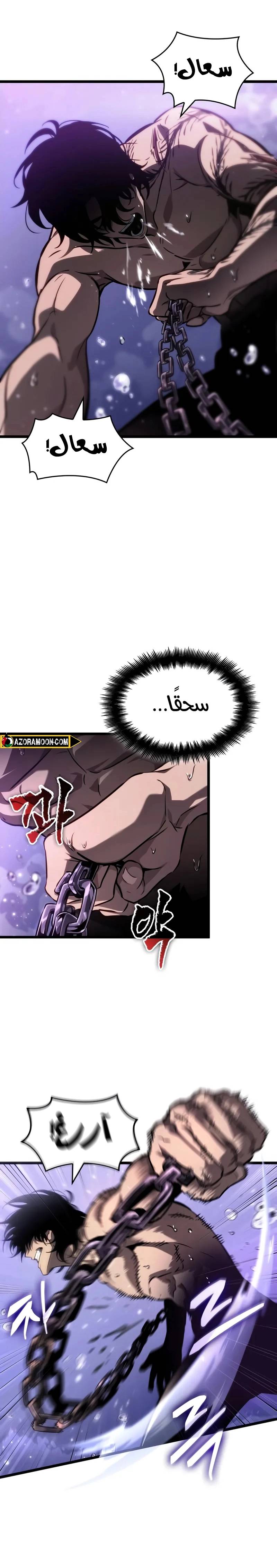 الصفحة 13