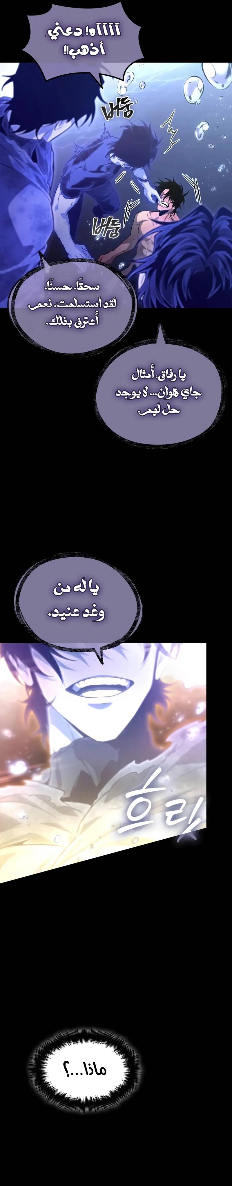 الصفحة 25
