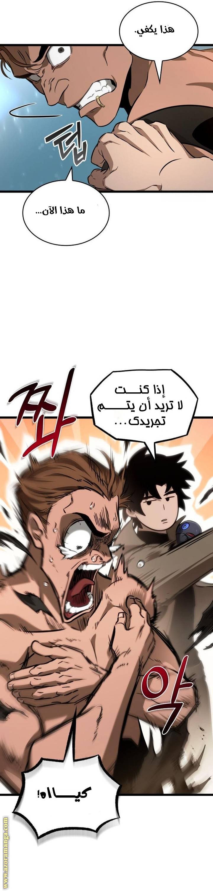 الصفحة 13