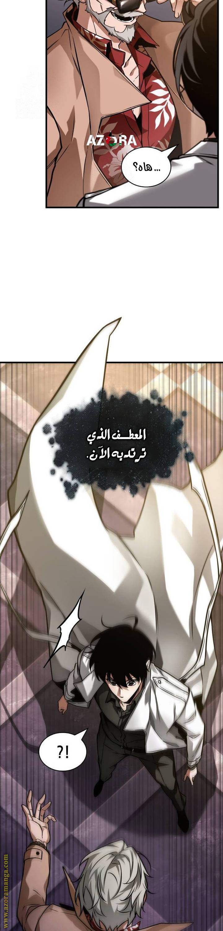 الصفحة 17