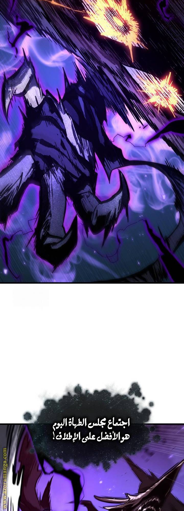 الصفحة 17