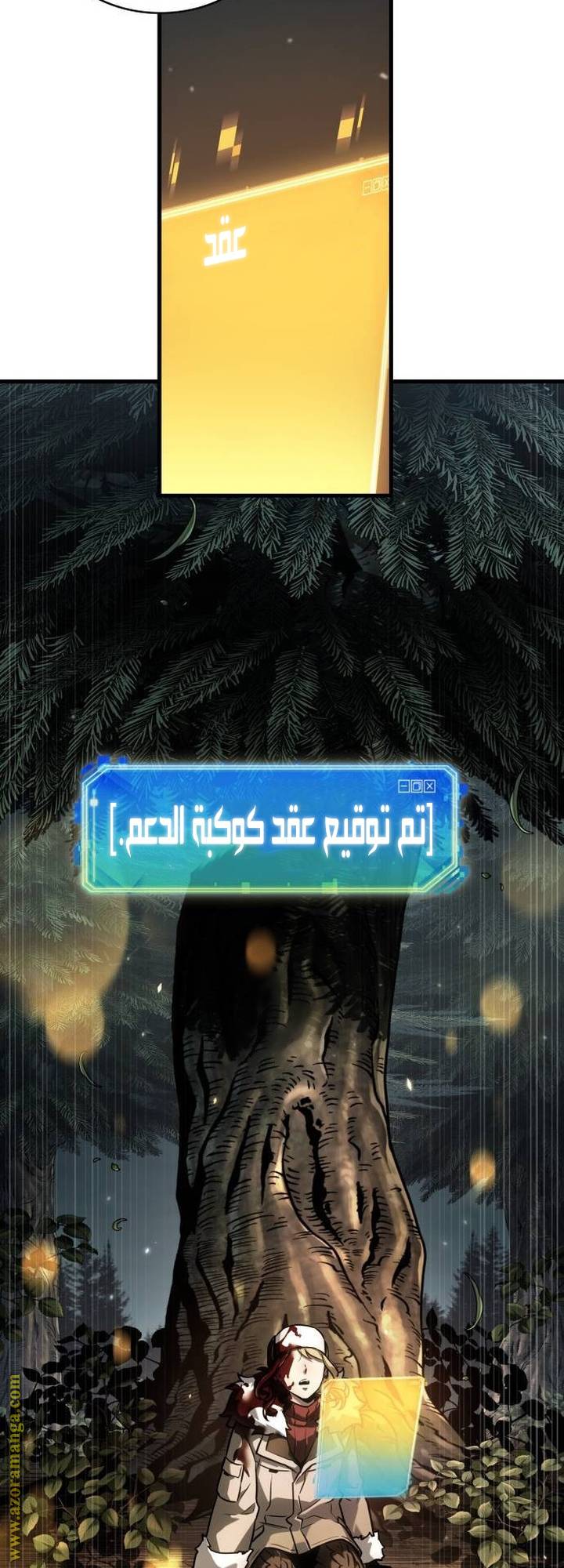 الصفحة 17