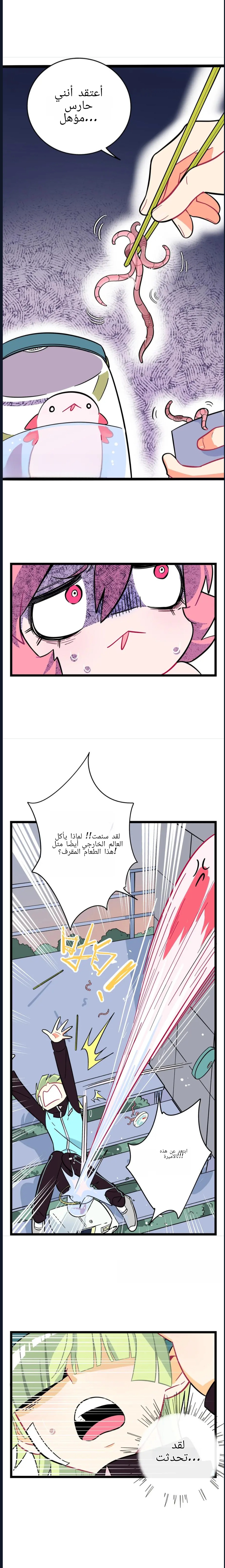 الصفحة 5