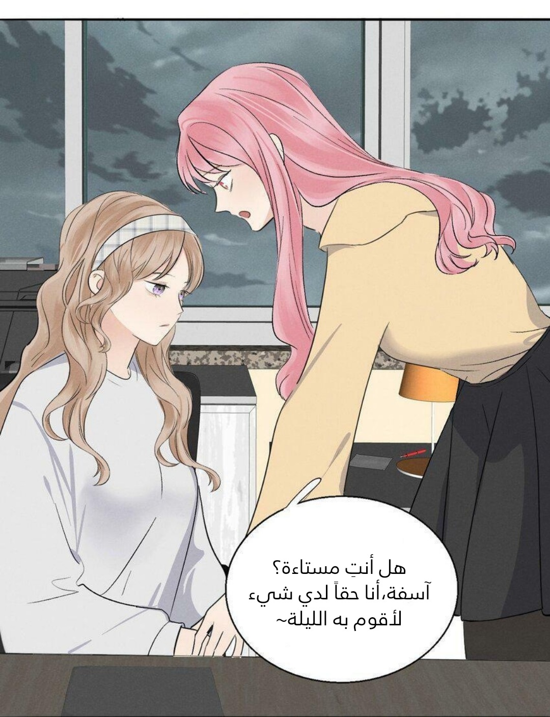 الصفحة 17