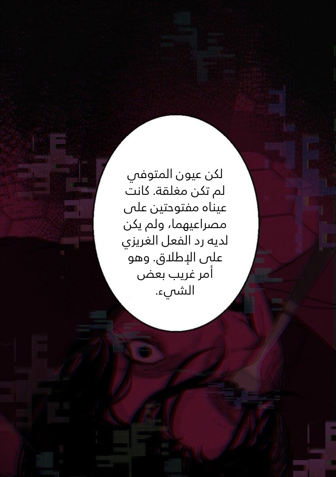 الصفحة 14
