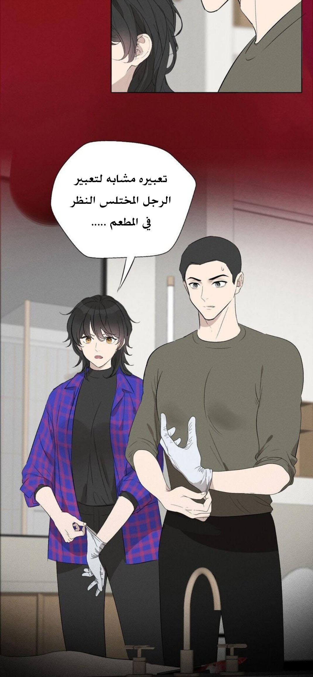 الصفحة 13