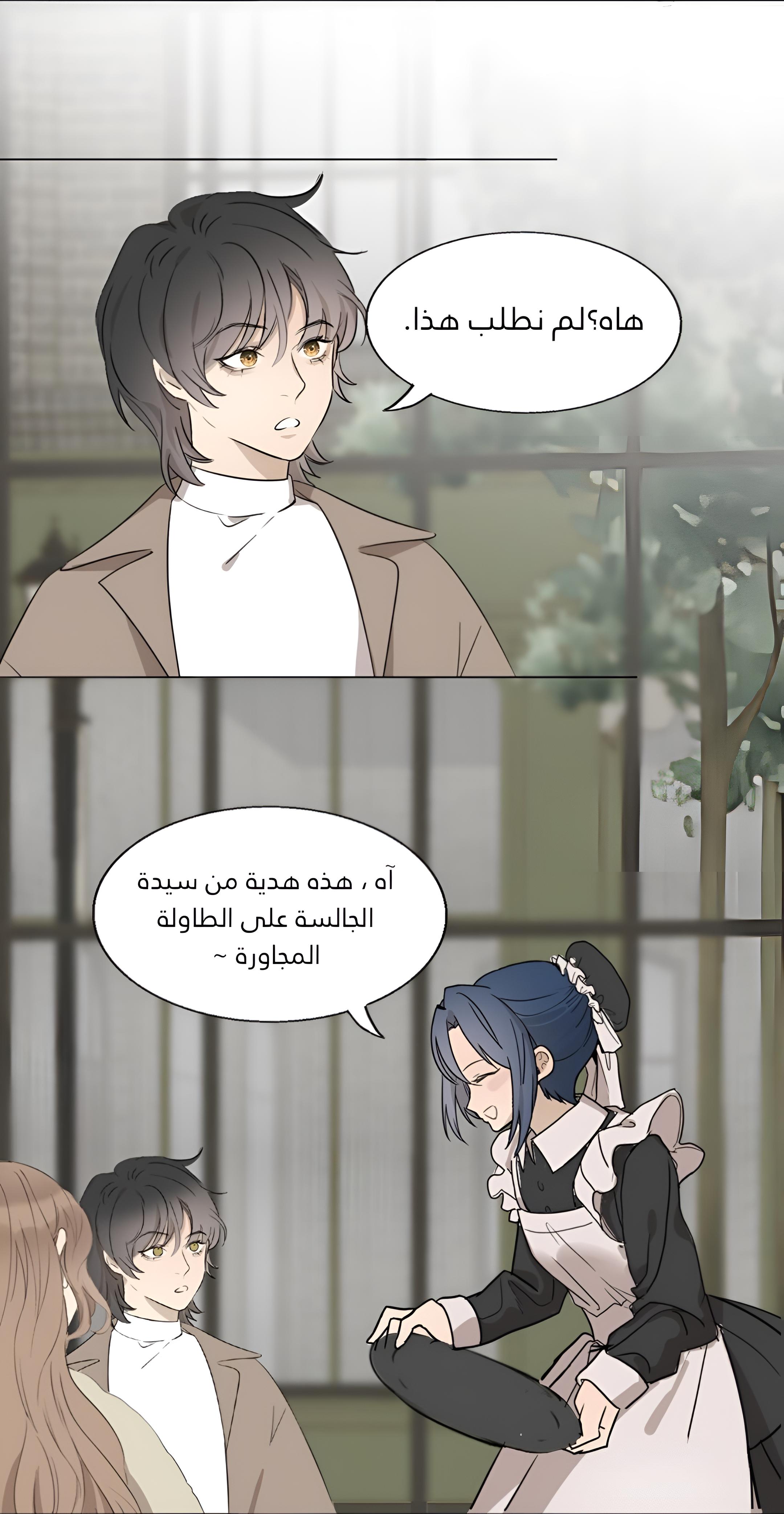 الصفحة 20