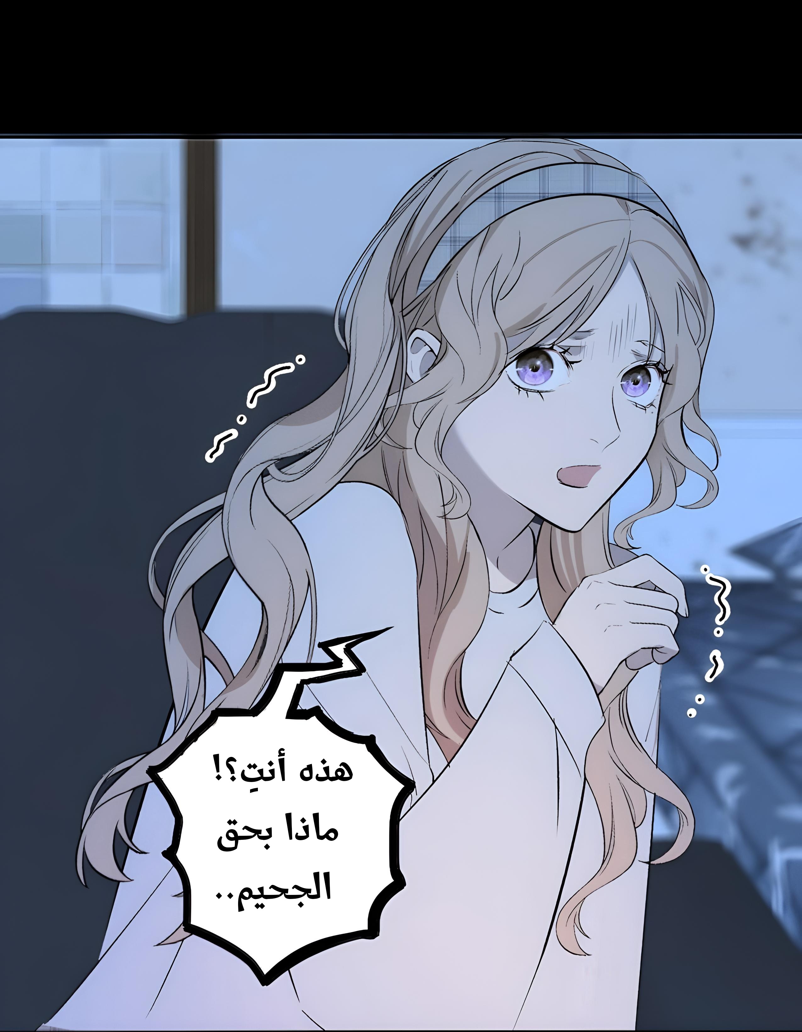 الصفحة 17