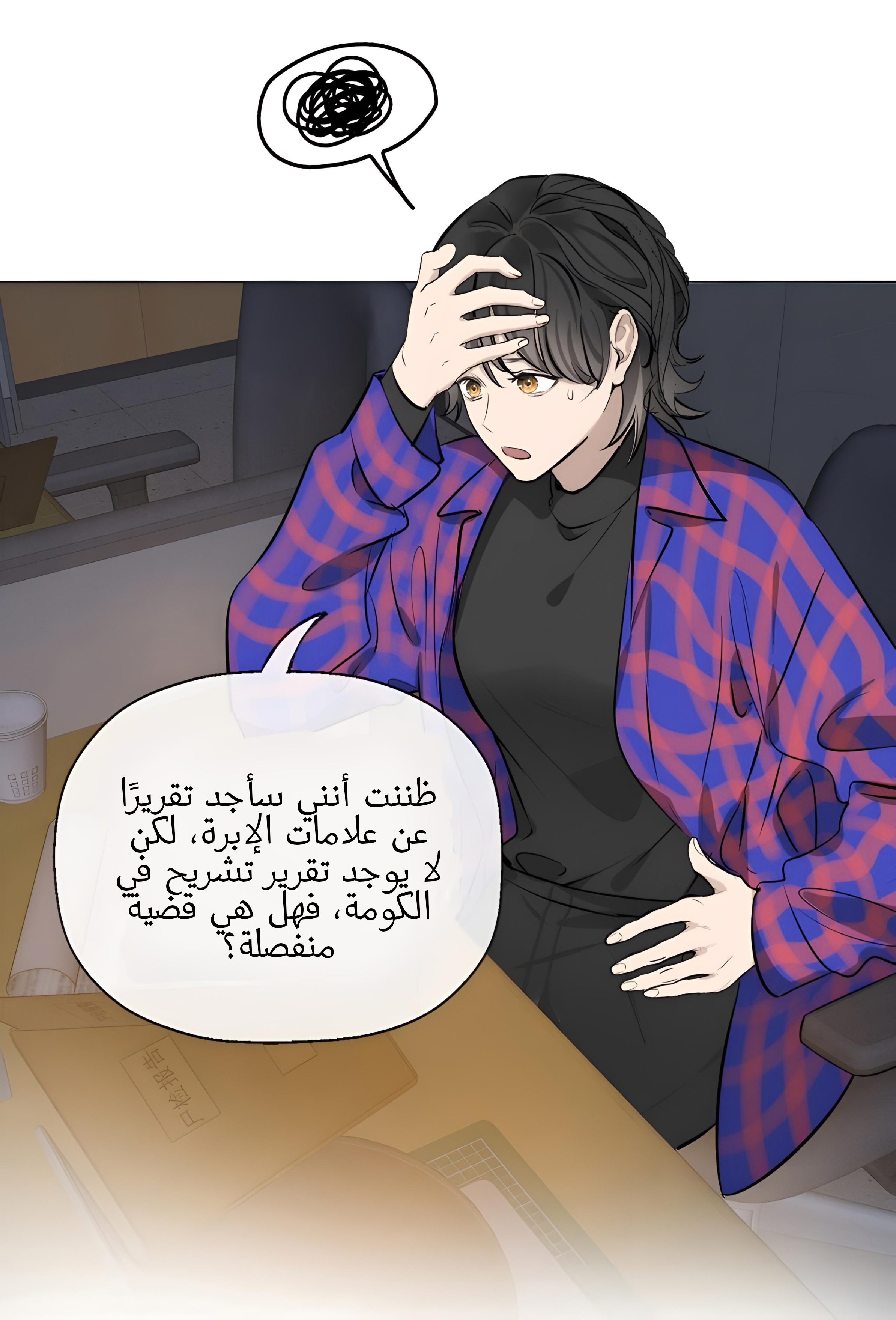 الصفحة 13