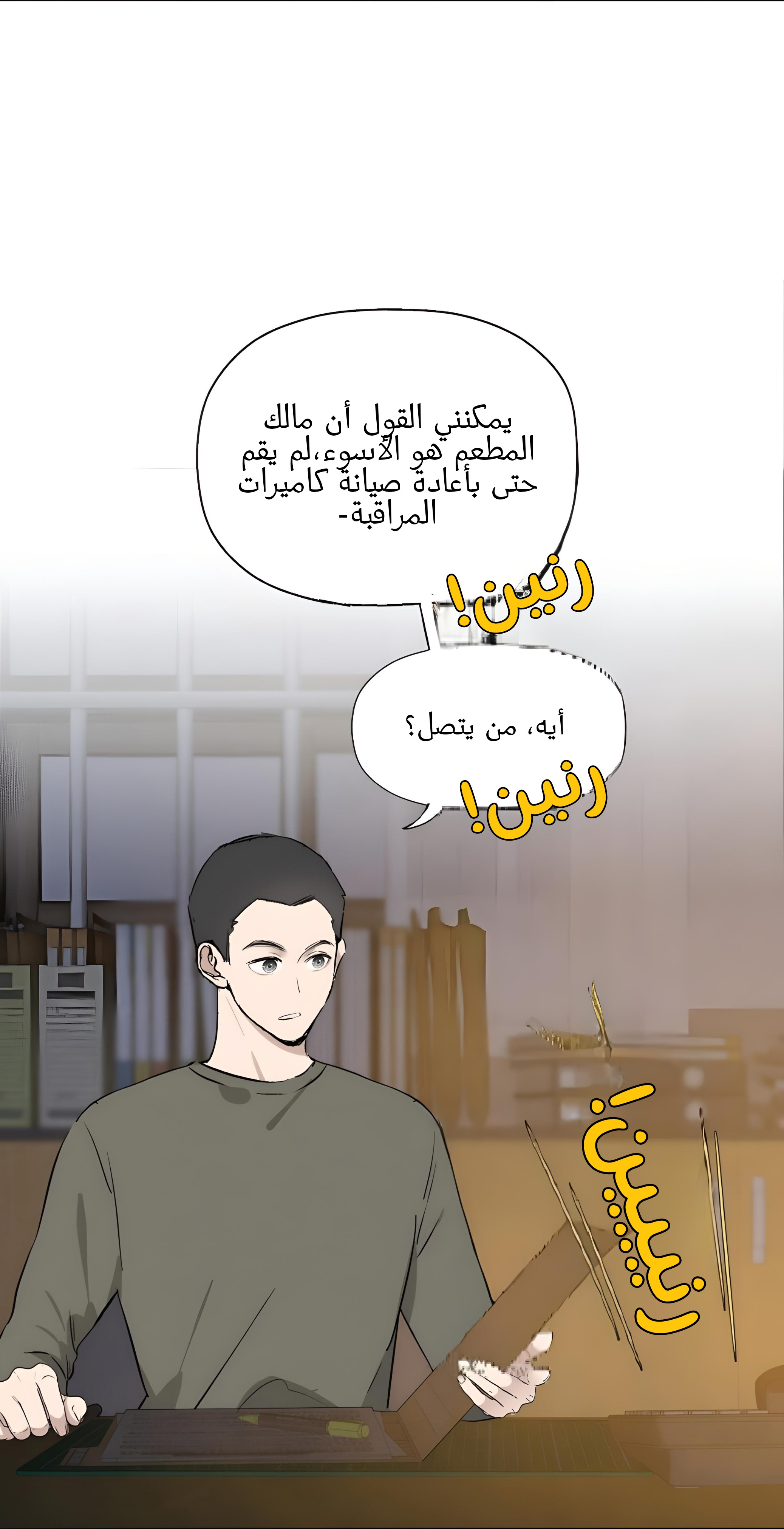 الصفحة 17
