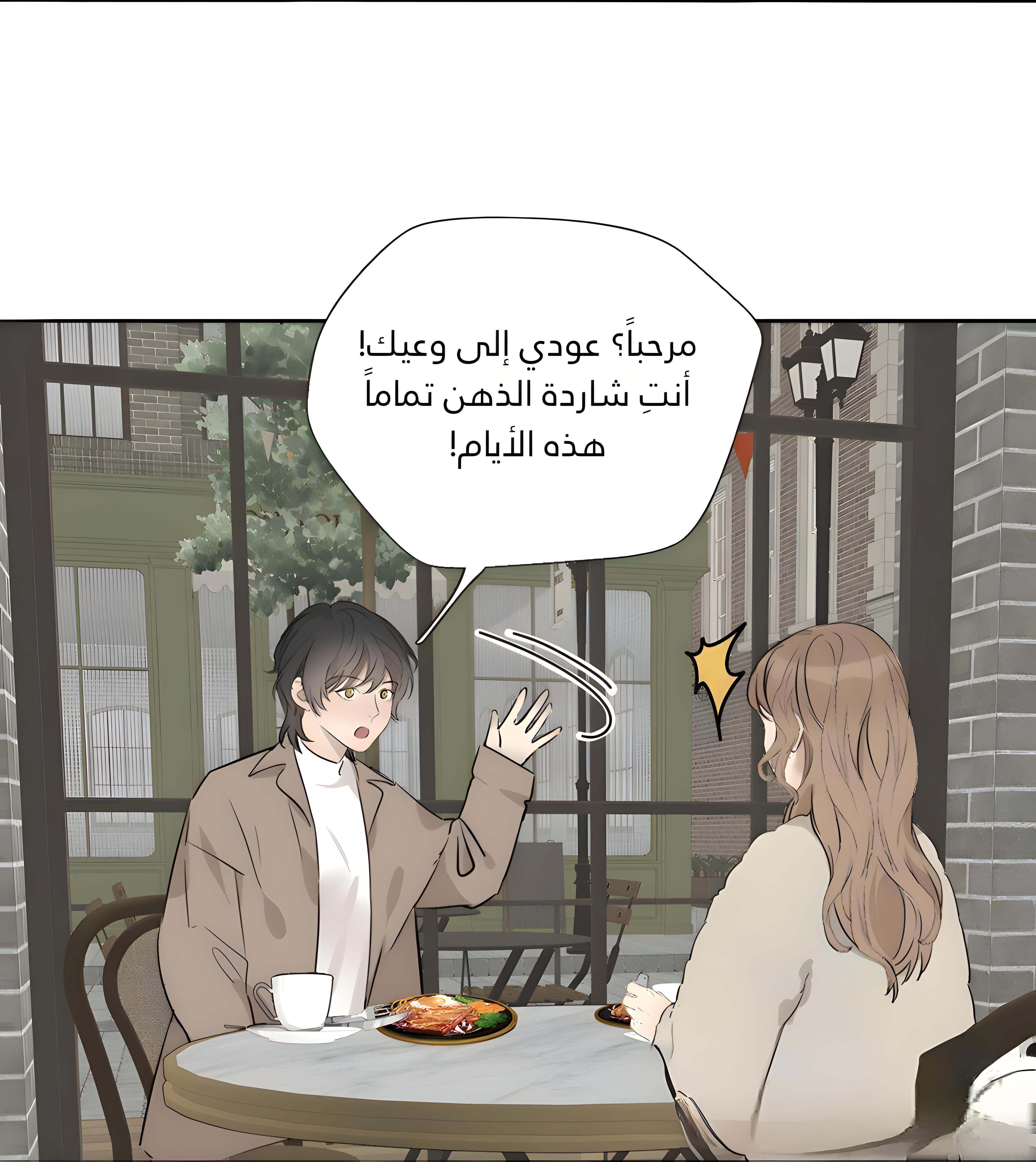 الصفحة 20