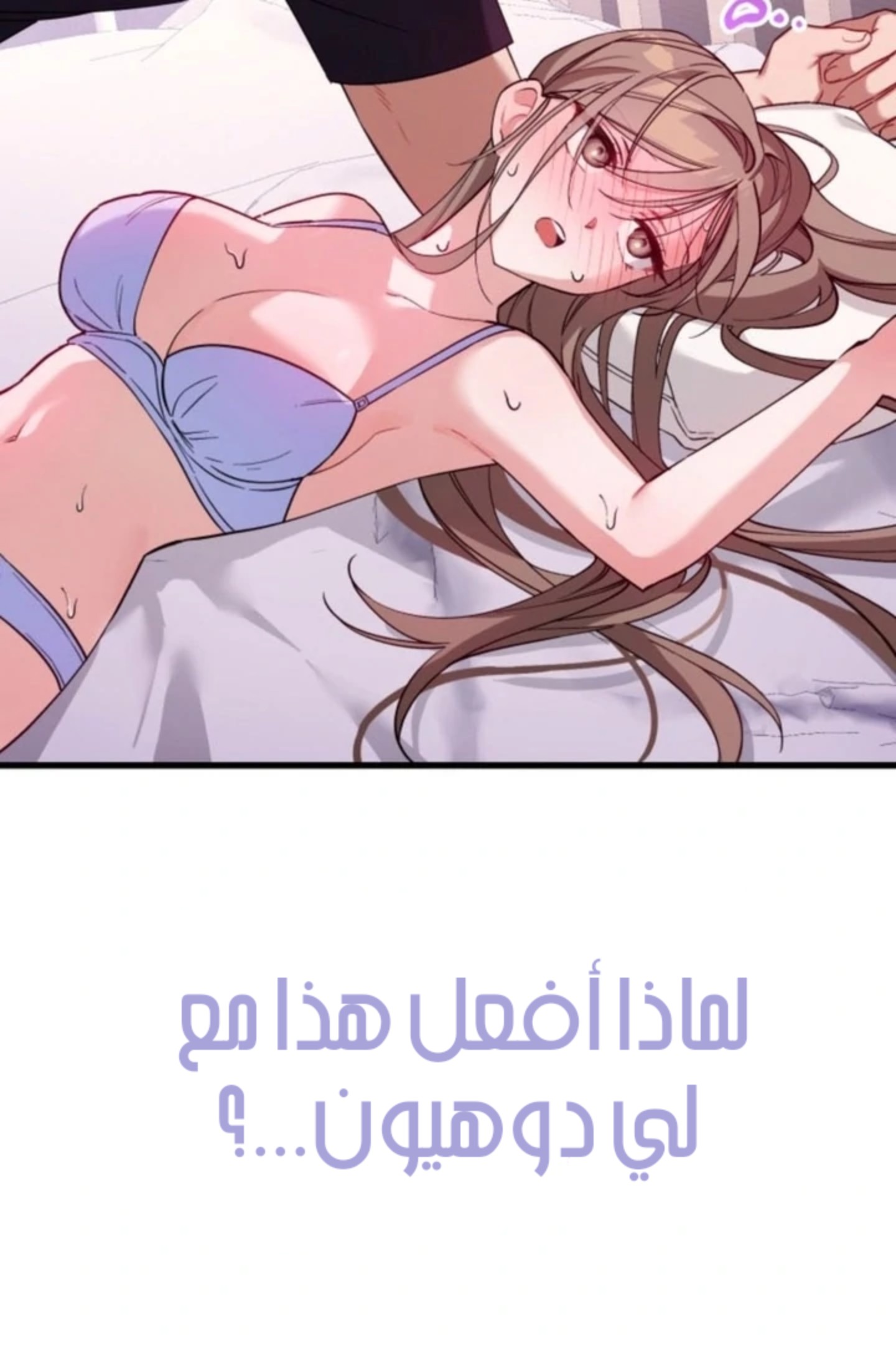 الصفحة 21