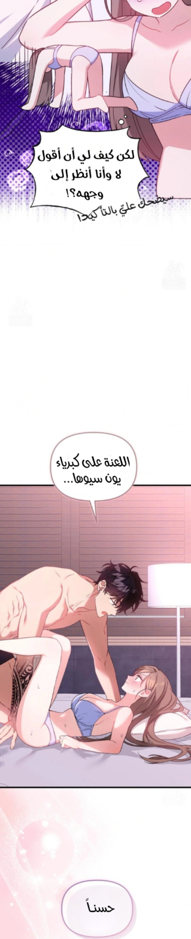 الصفحة 27