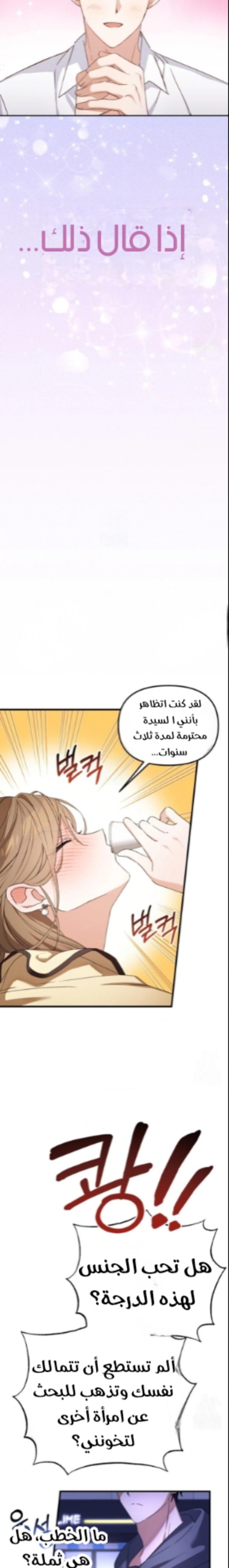 الصفحة 24
