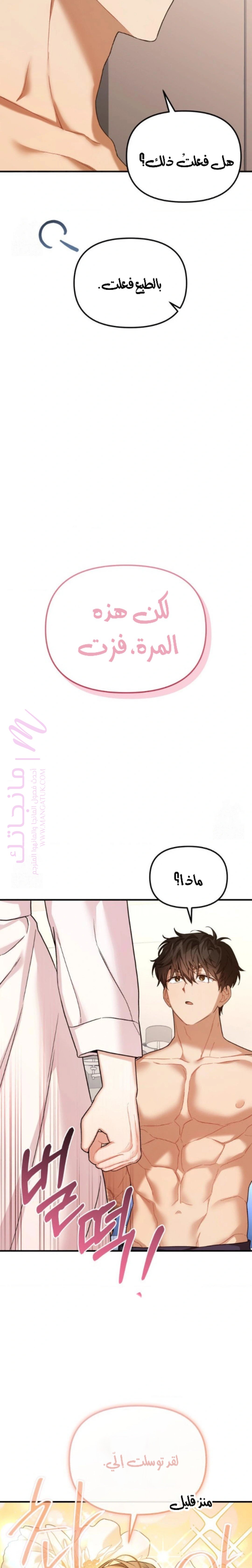 الصفحة 13