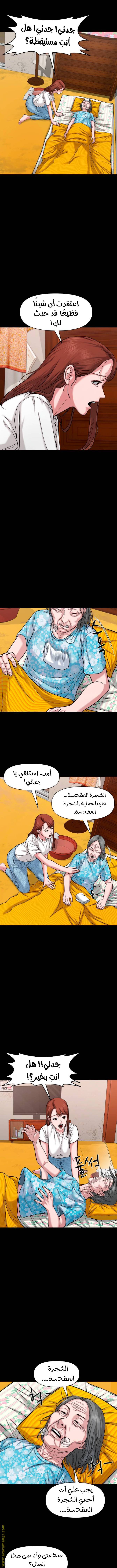 الصفحة 5