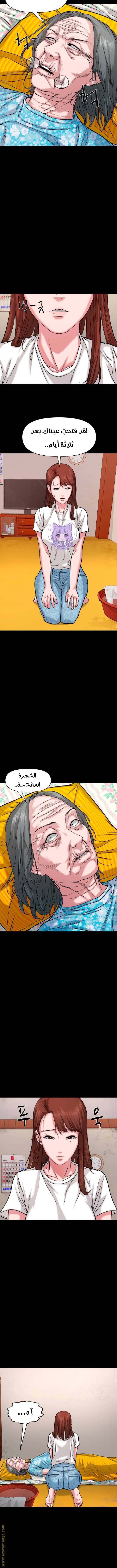 الصفحة 6