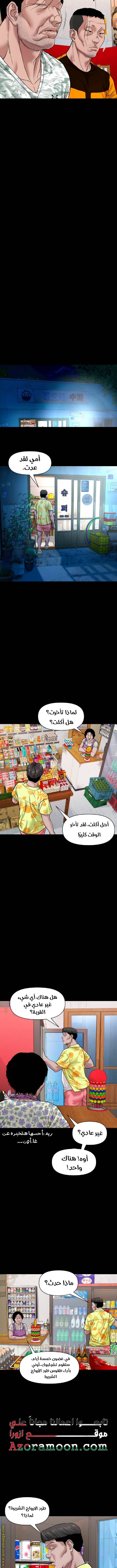 الصفحة 13