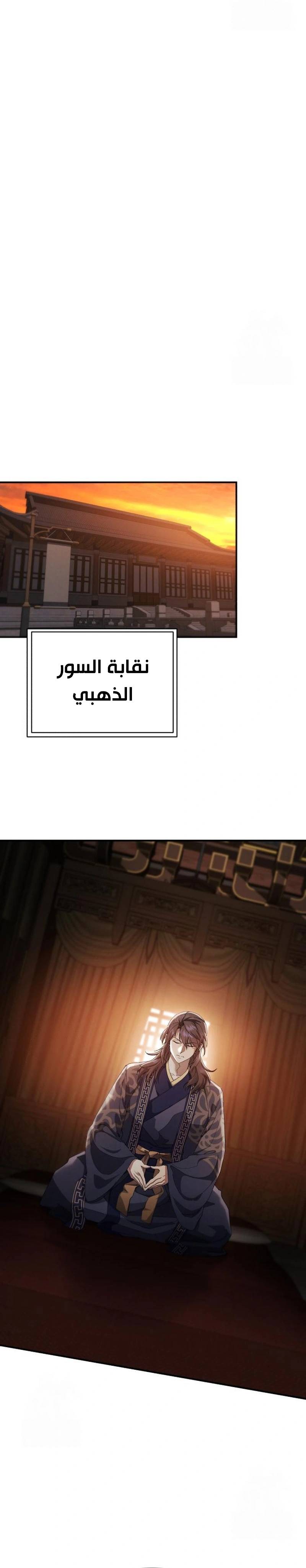 الصفحة 46