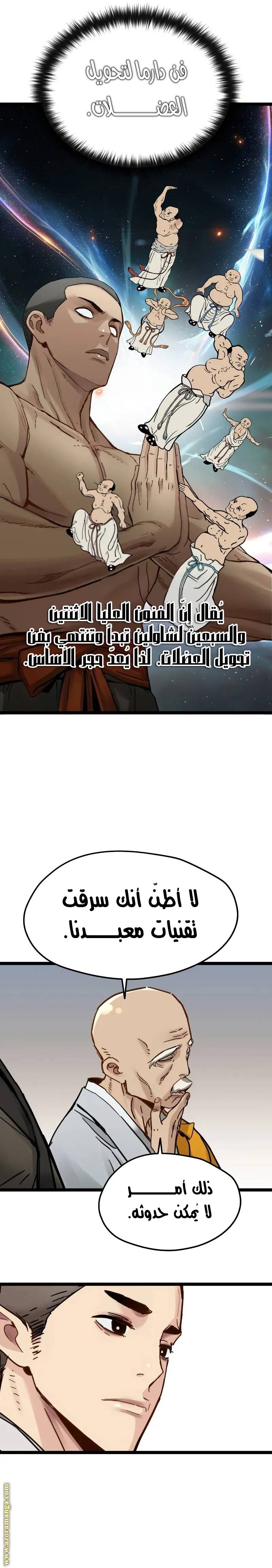 الصفحة 17