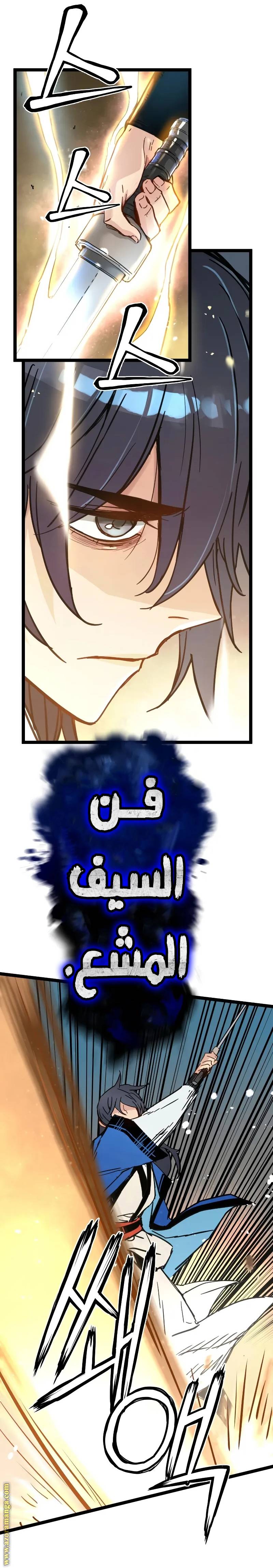 الصفحة 13